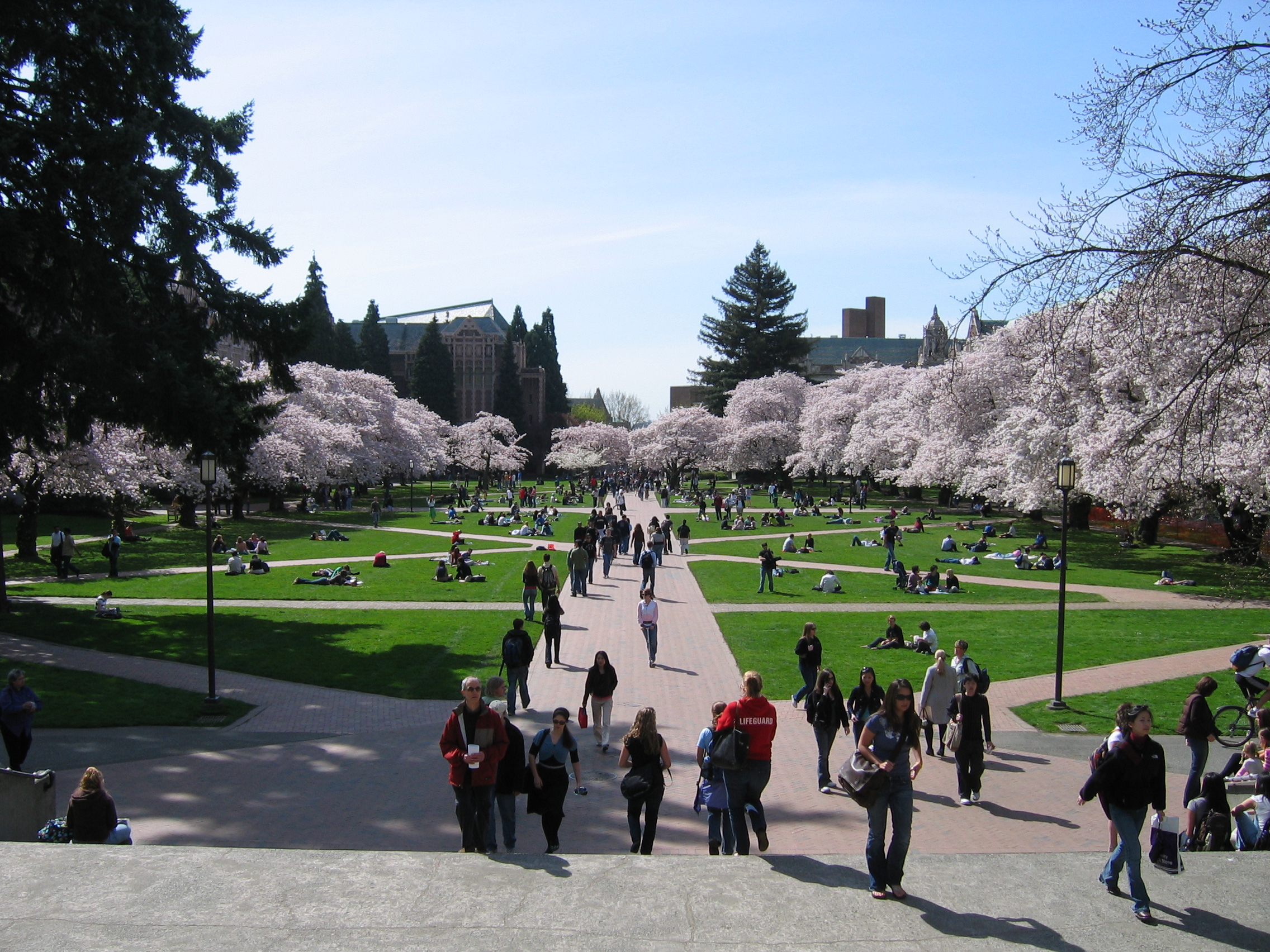 华盛顿大学University of Washington